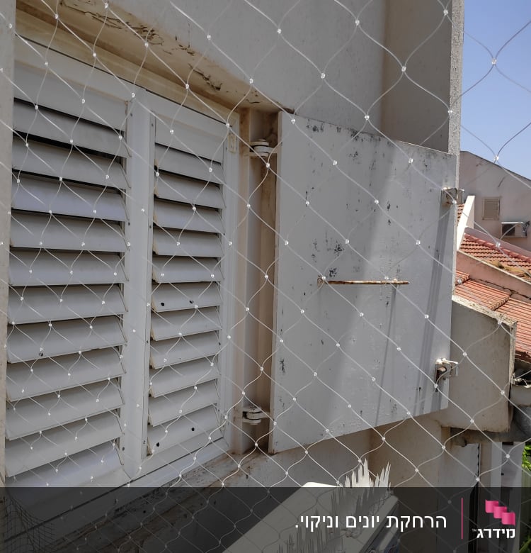 רשת הגנה נגד יונים על חלון עם דוקרנים